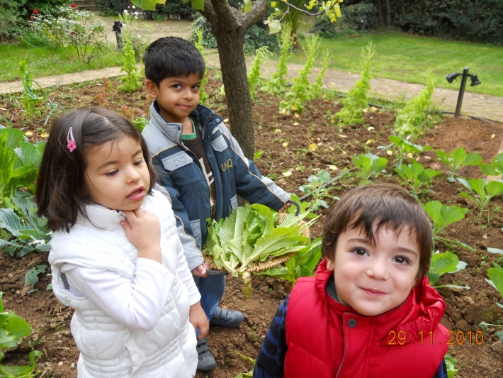 Λαχανόκηπος/Vegetable garden 